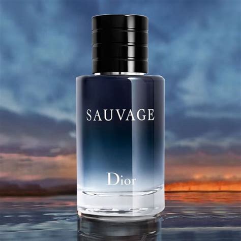 dior sauvage oil based|sauvage dior parfum for men.